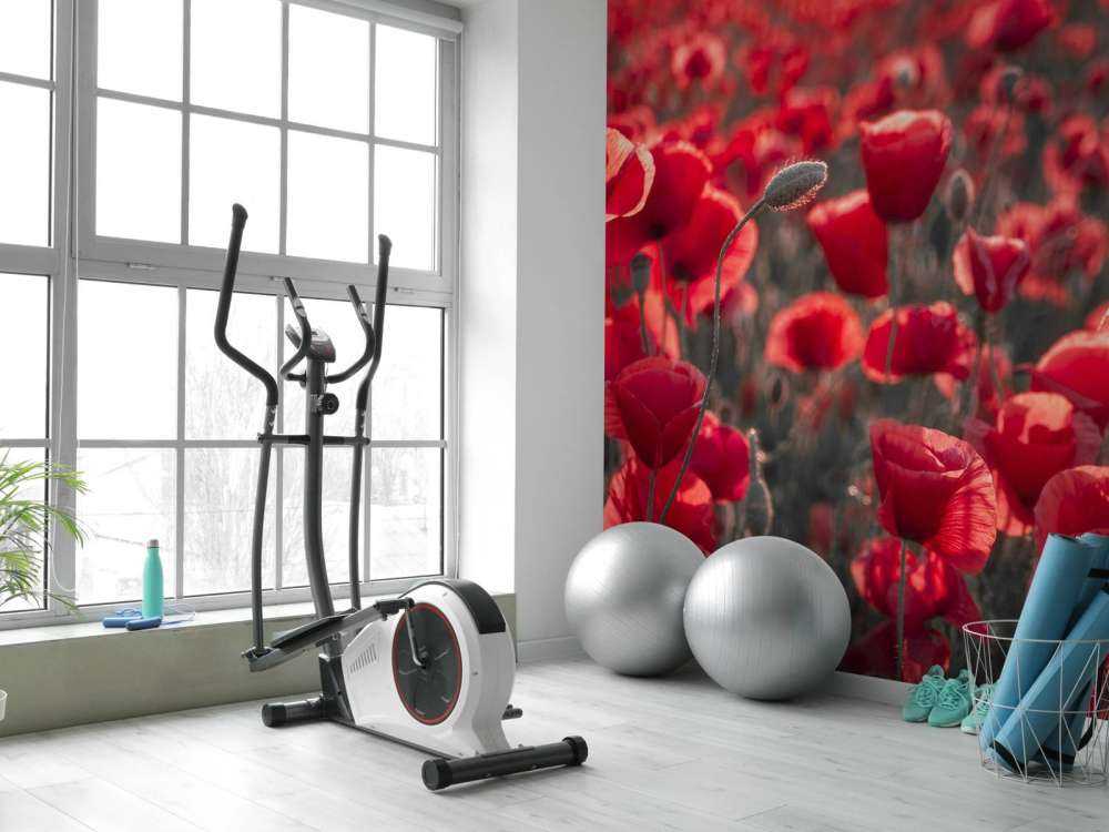 Valmuer i mørk stil