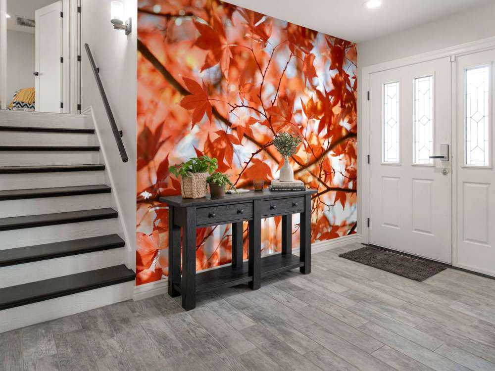 Farverige efterårsblade