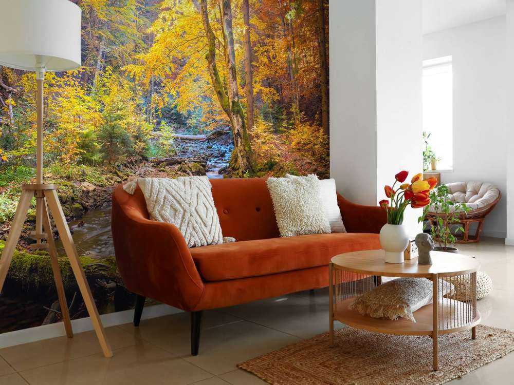 Efterår i en vild skov