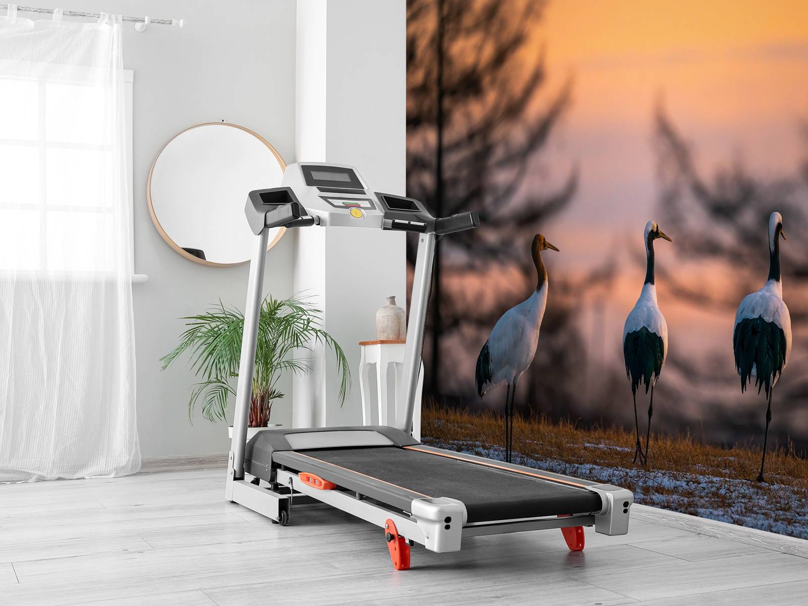 Kraanvogels bij zonsondergang