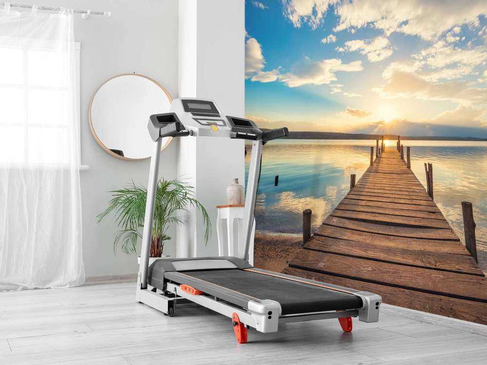 Anløbsbro ved søen