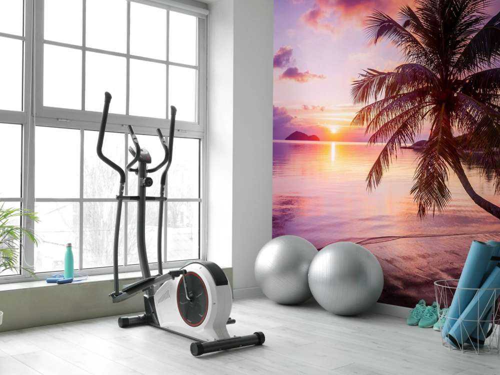 Palmetræ ved solnedgang