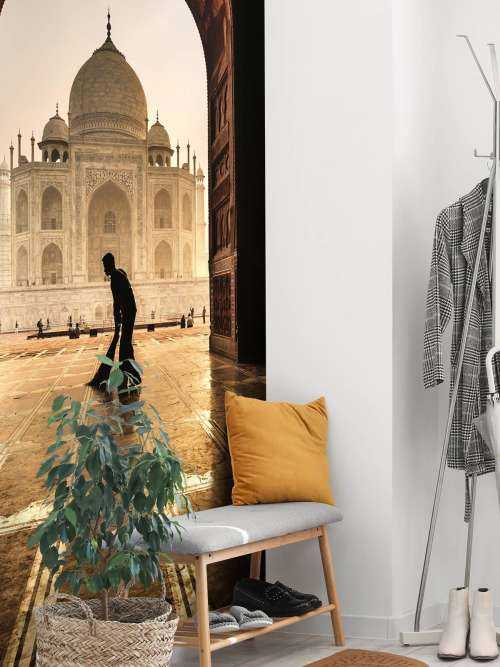 Taj mahal cleaner