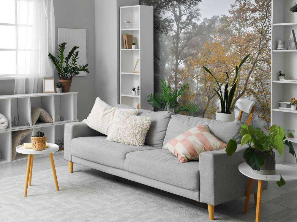 Græsmark med træer og tåge