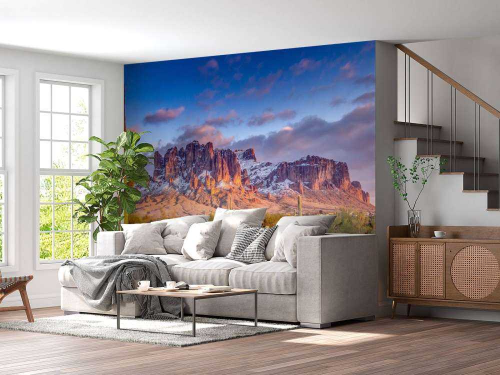 Kaktus i ett berglandskap