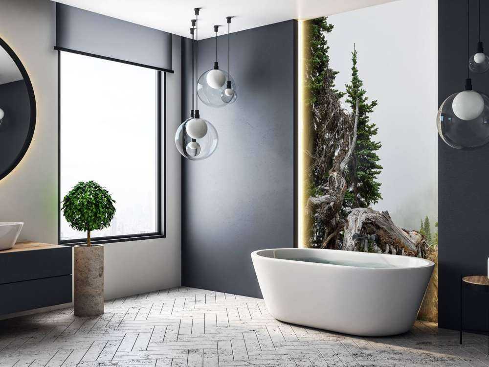 Träd och gamla träd