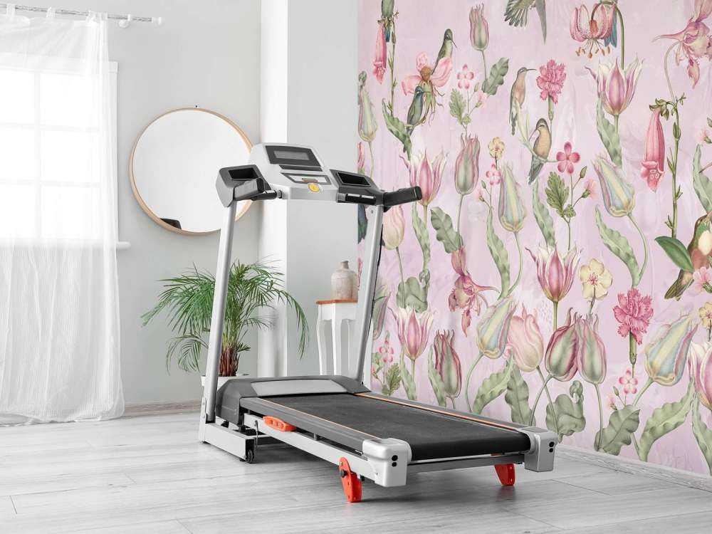 Vår Kolibri Symfoni - Blomma Ros