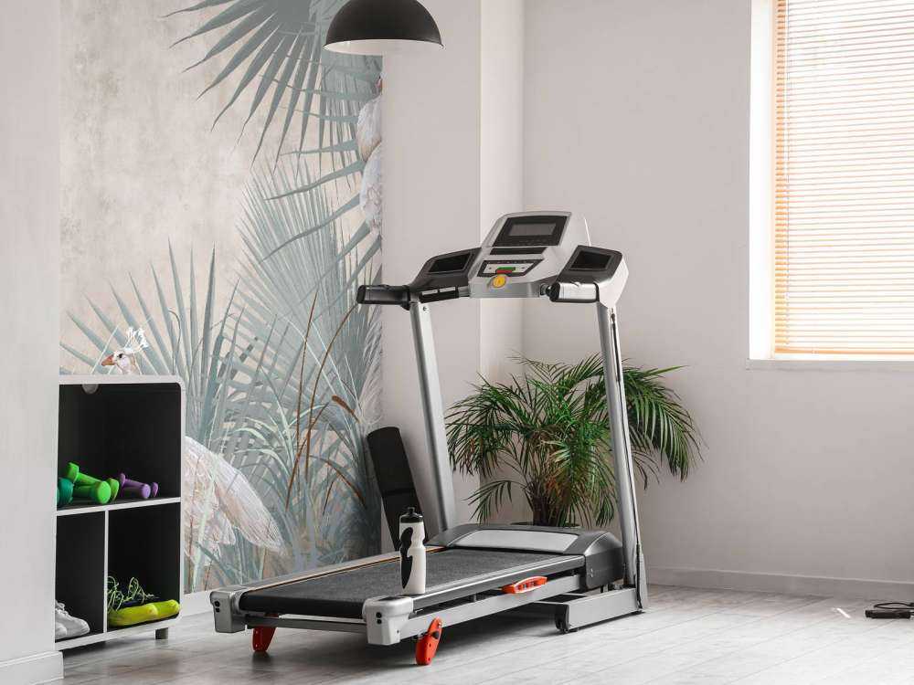 Påfåglar i tropikerna