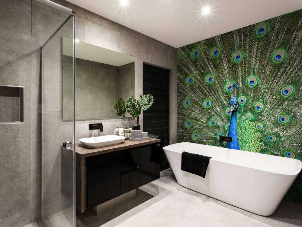 Påfågel med utspända fjädrar