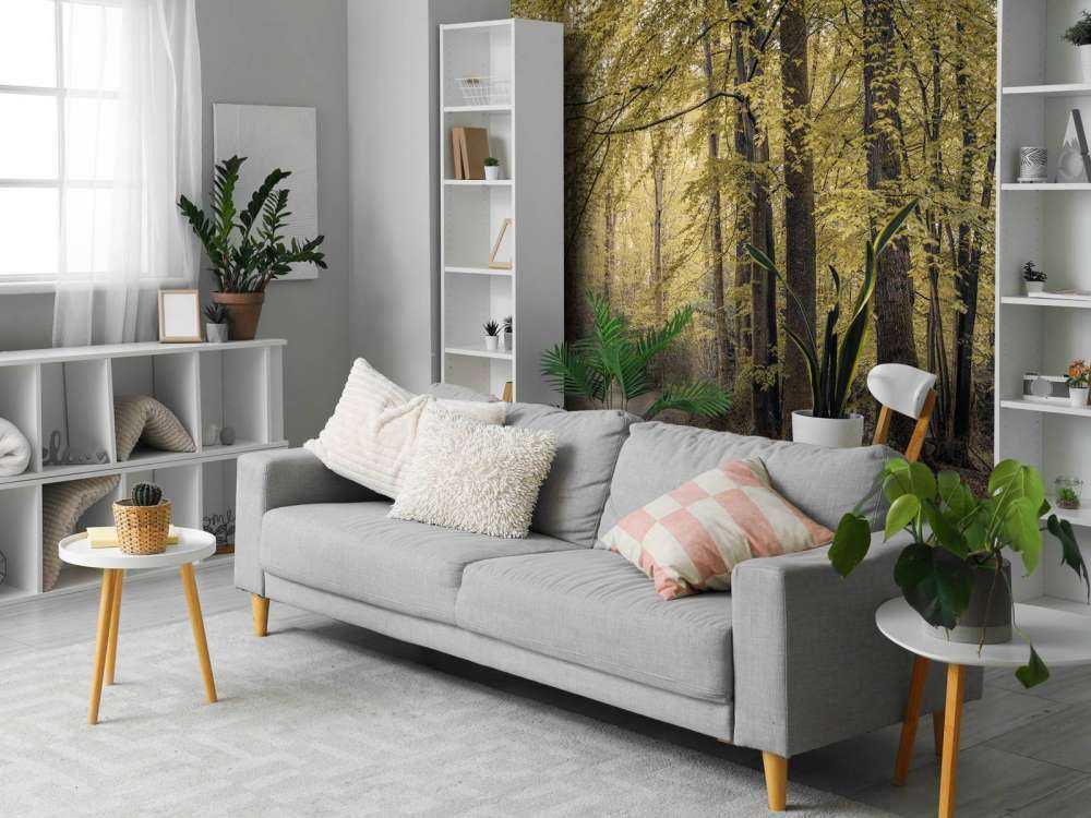 Väg genom den gröna skogen