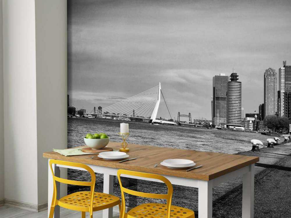Världens hamnstad Rotterdam 
