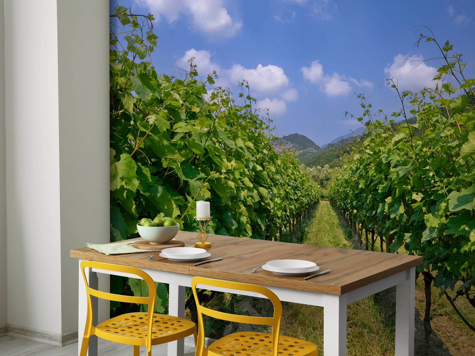 Vingård i Italien