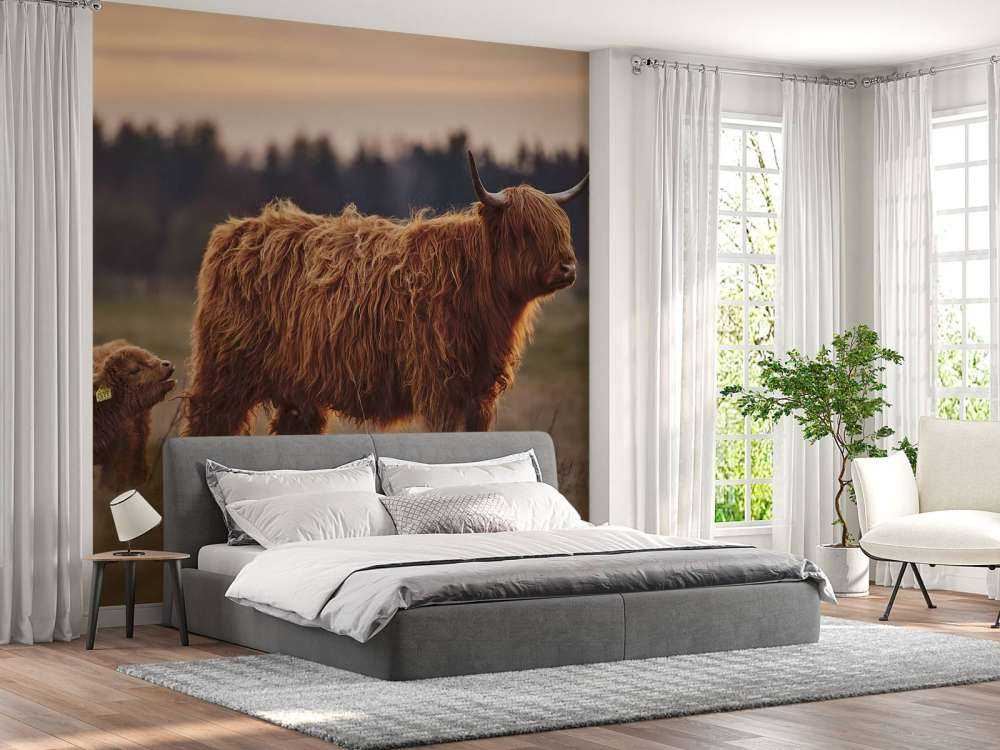 Skotsk hoglandare i ängen