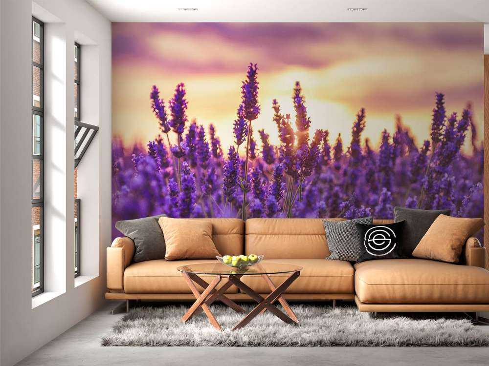 Lavendelblommor