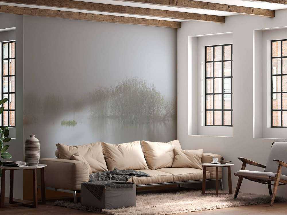 Dimma i naturreservat