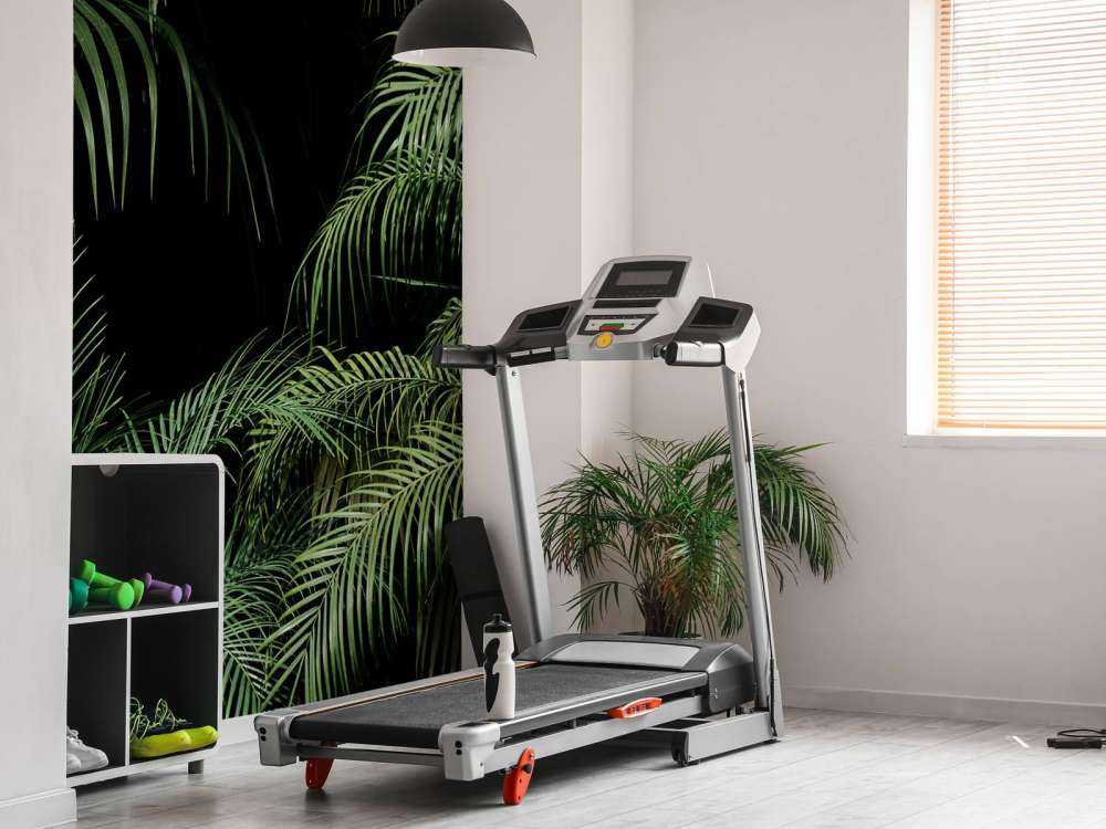 Växt med gröna blad