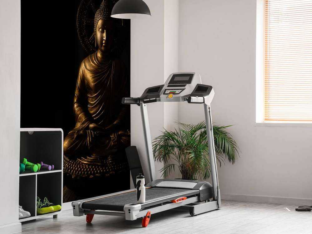 Isolerad Buddha