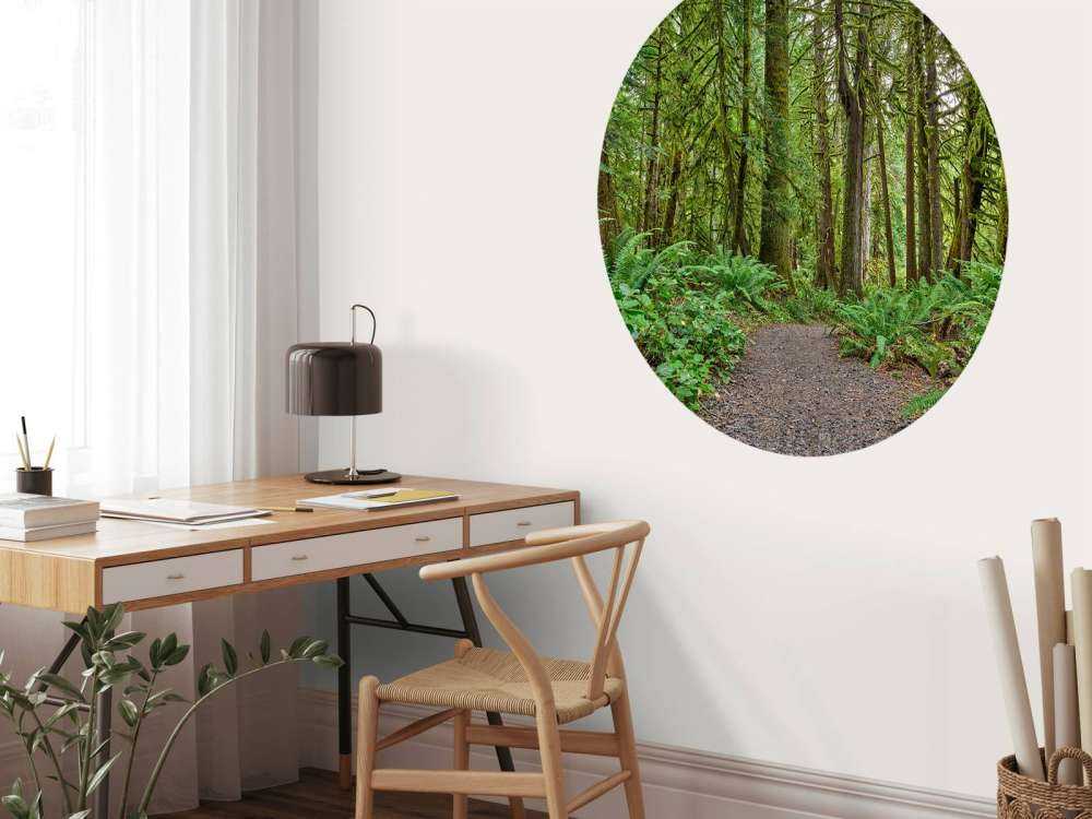 Sti med sten genom skogen