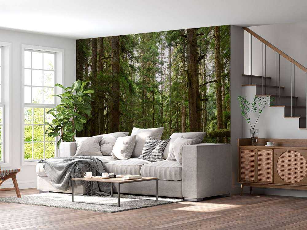 Vild skog