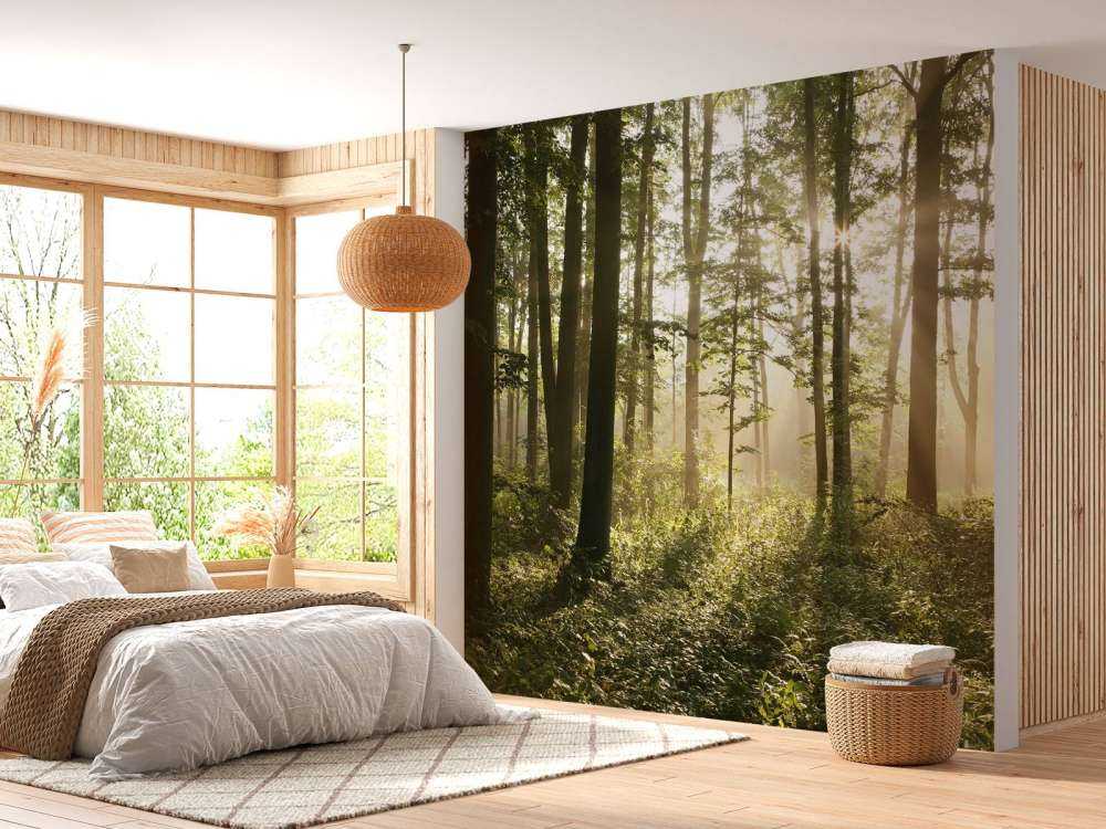 Dimmig lövskog