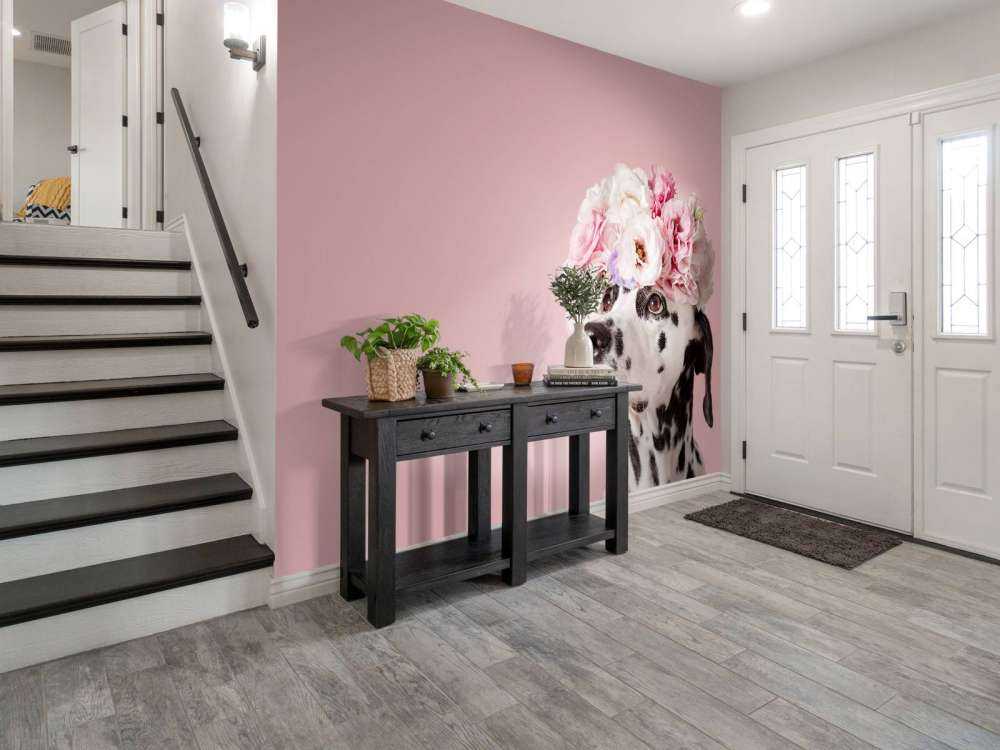 Dalmatinare med färgade blommor