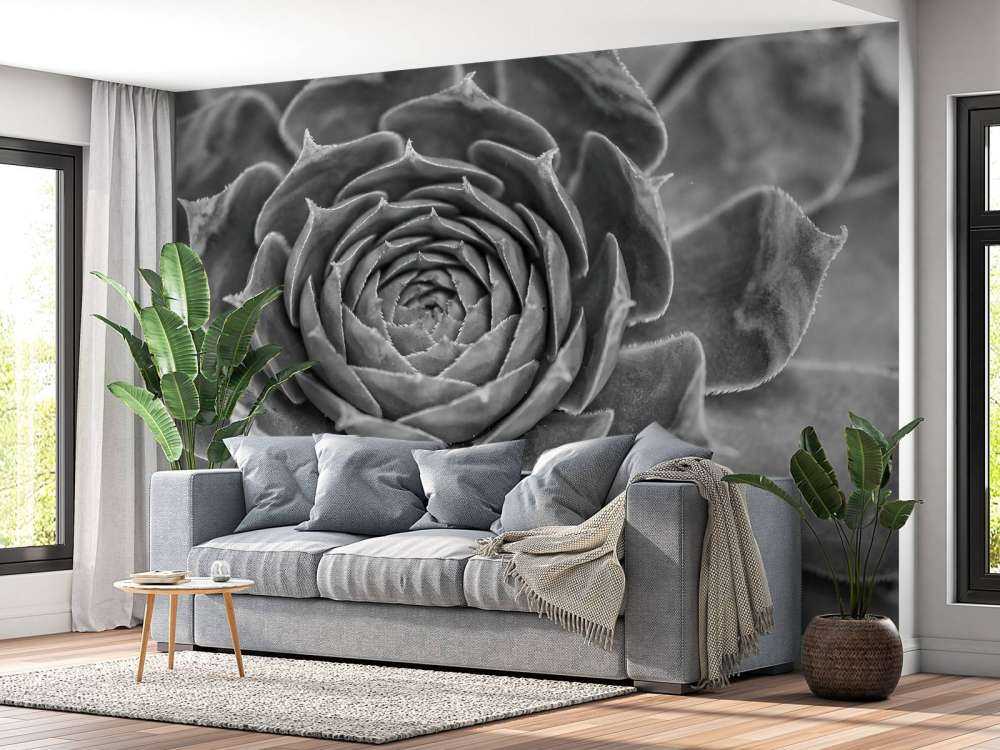 Närbild av saftiga växter