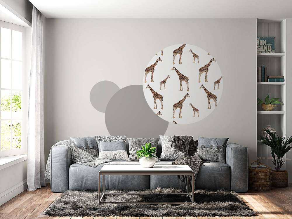 Giraffer
