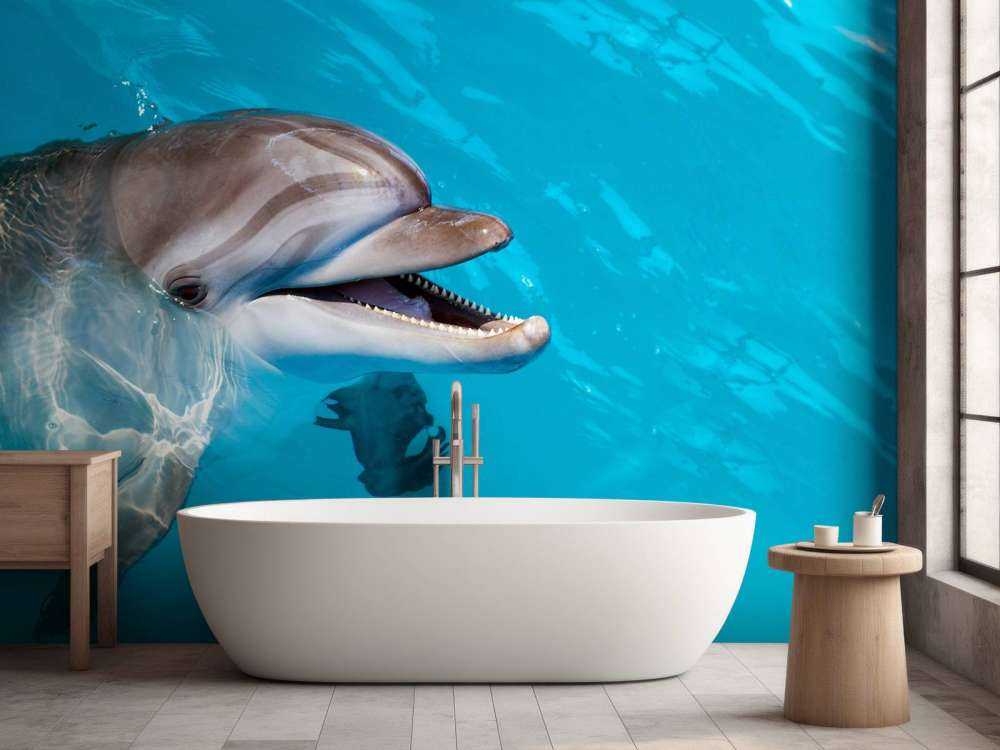 Vänlig delfin