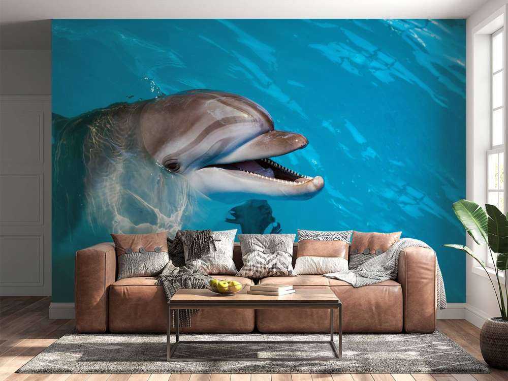 Vänlig delfin