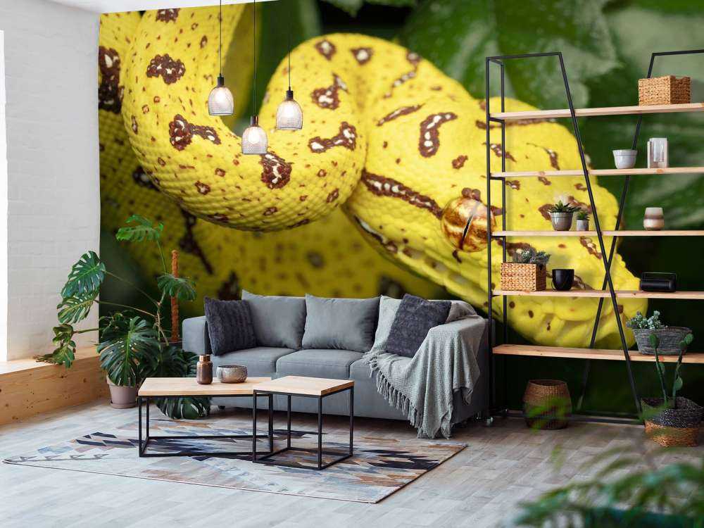 Närbild av trädpyton