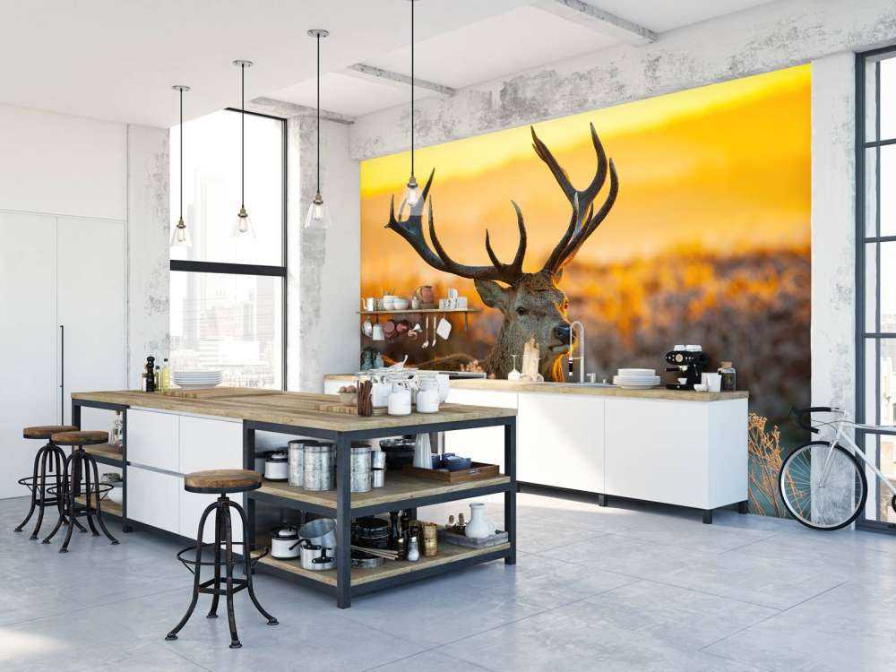 Rådjur i naturreservat