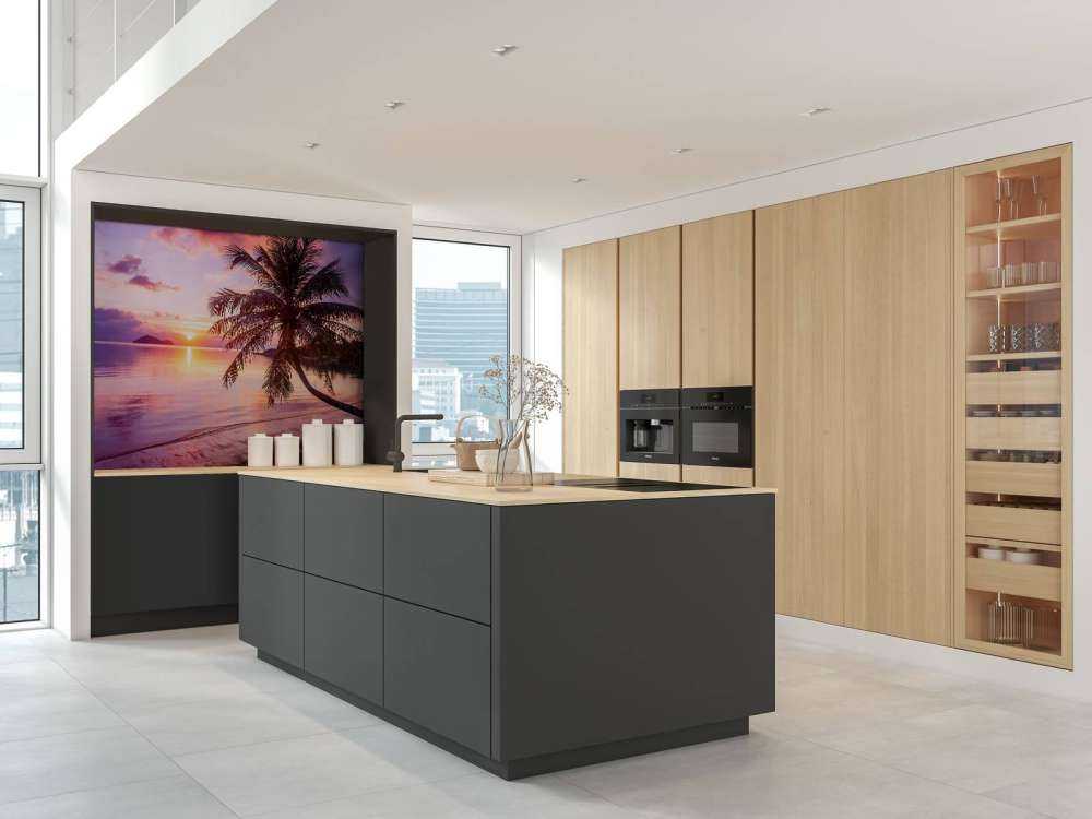 Palme vid solnedgång