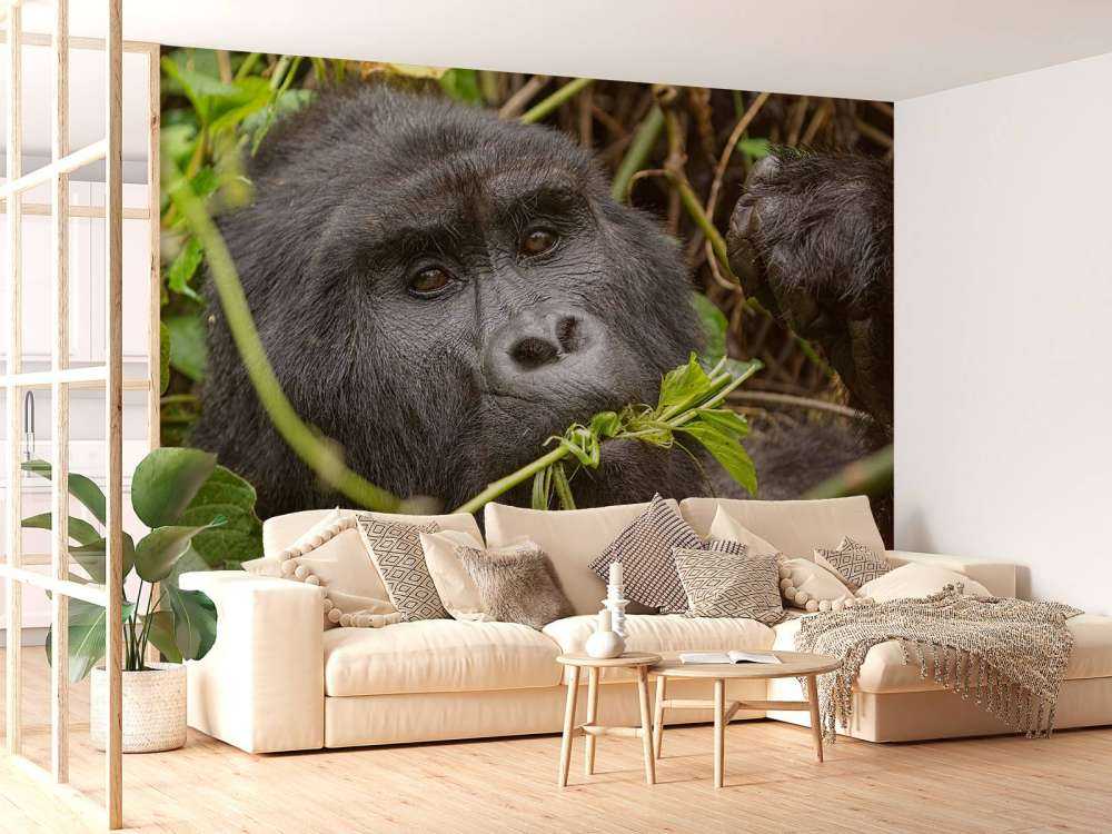 Gorilla mellan grenarna