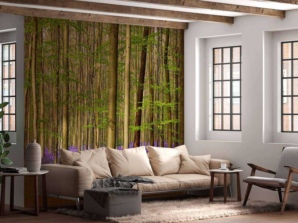 Skov med skovhyacinter