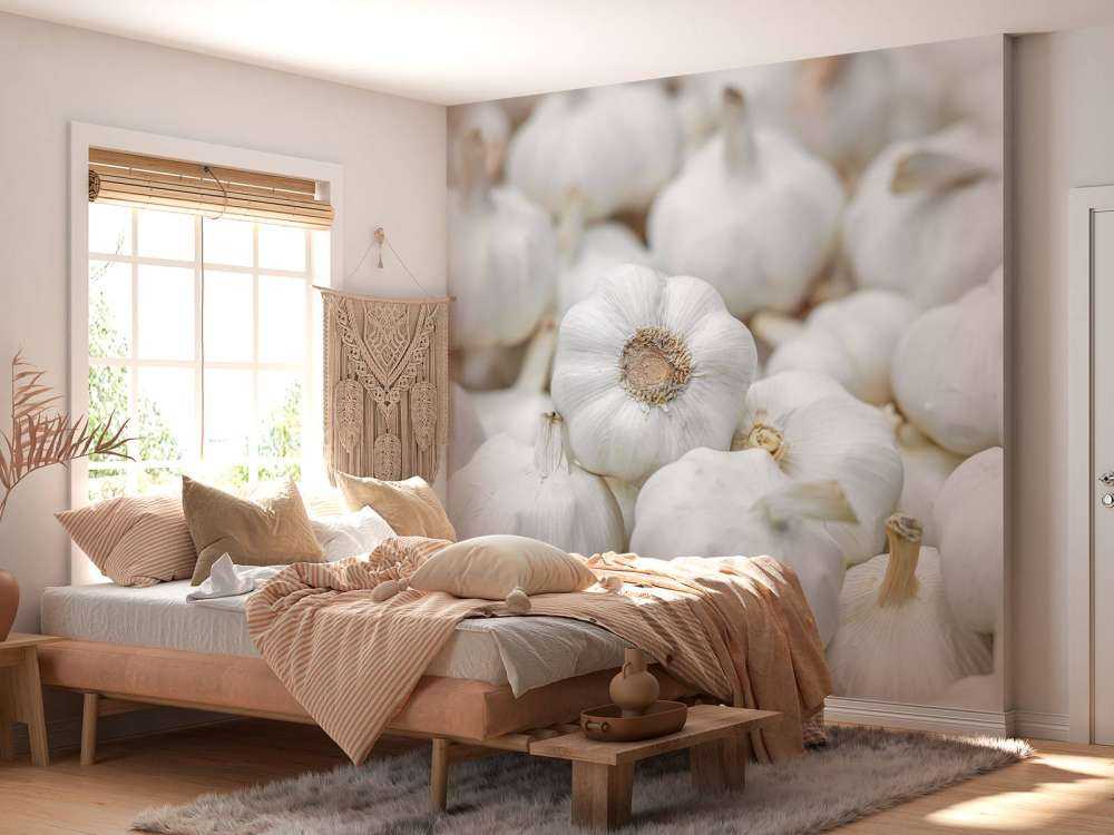 Nærbillede af hvidløg