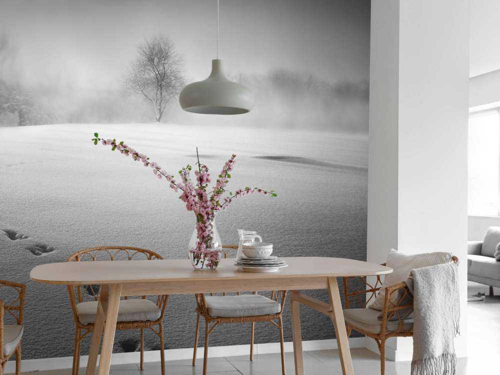 Winter scenery