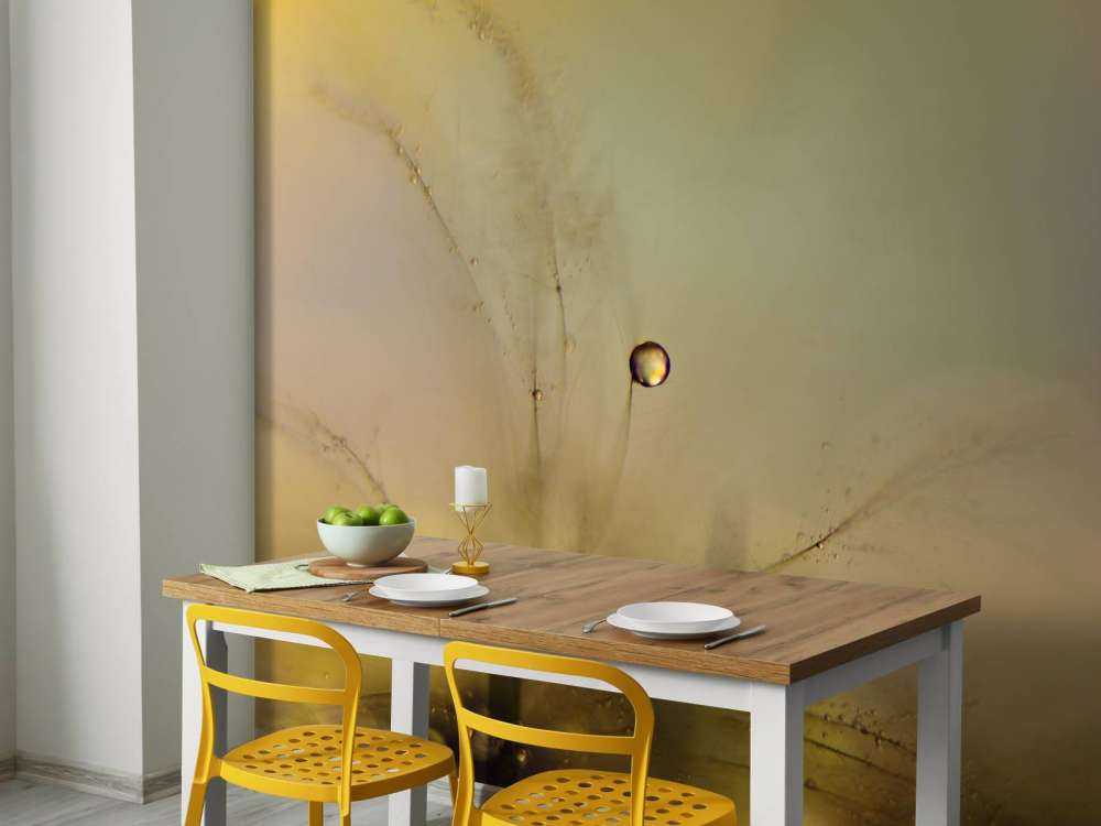 Følelse af en ny dag