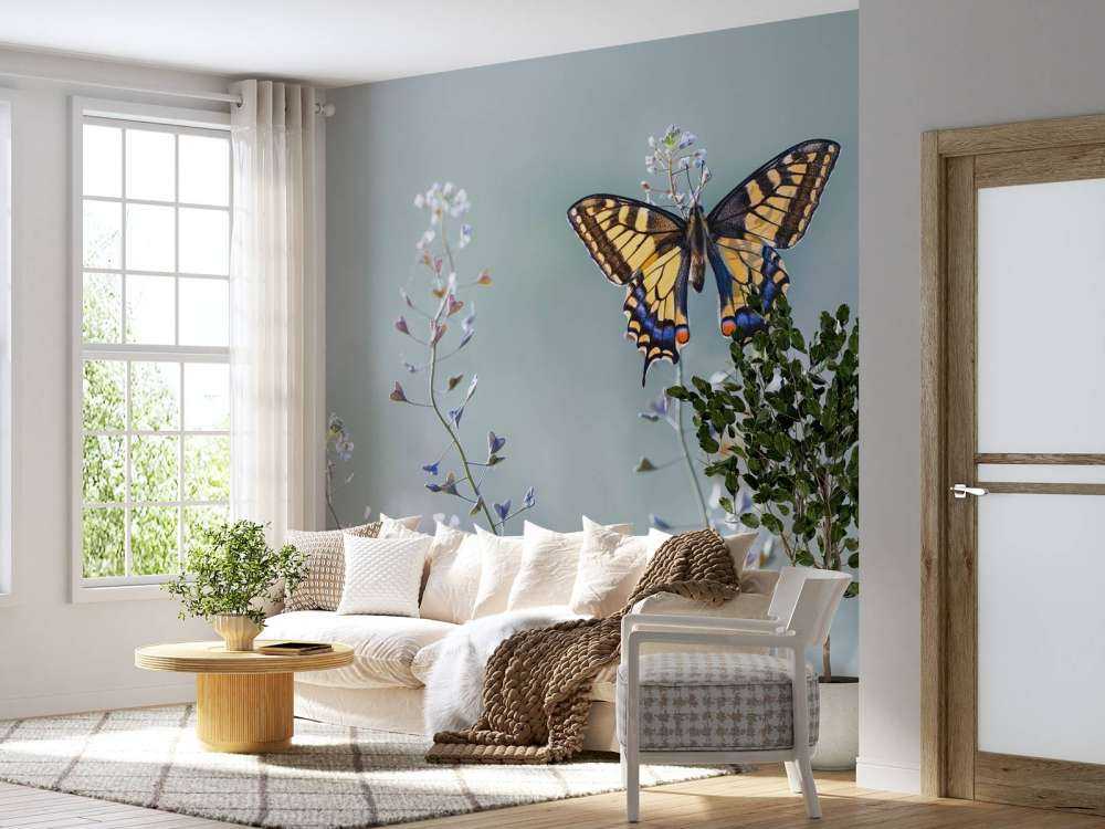 Swallowtail skønhed