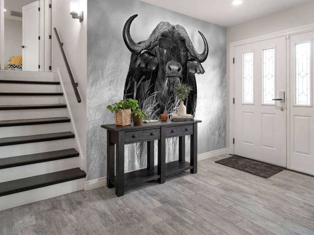 Buffalo i sort og hvid