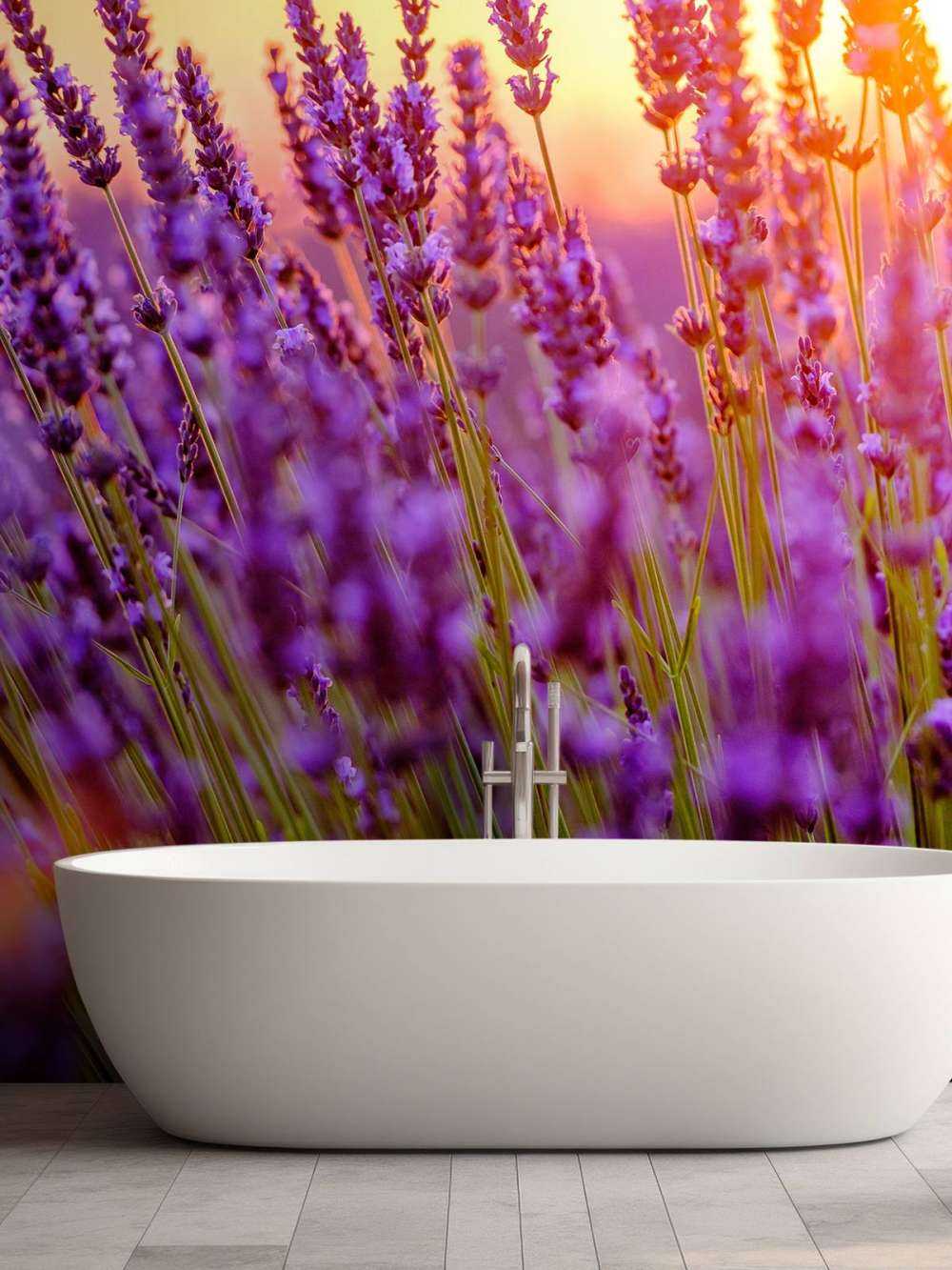 Nærbillede lavendel