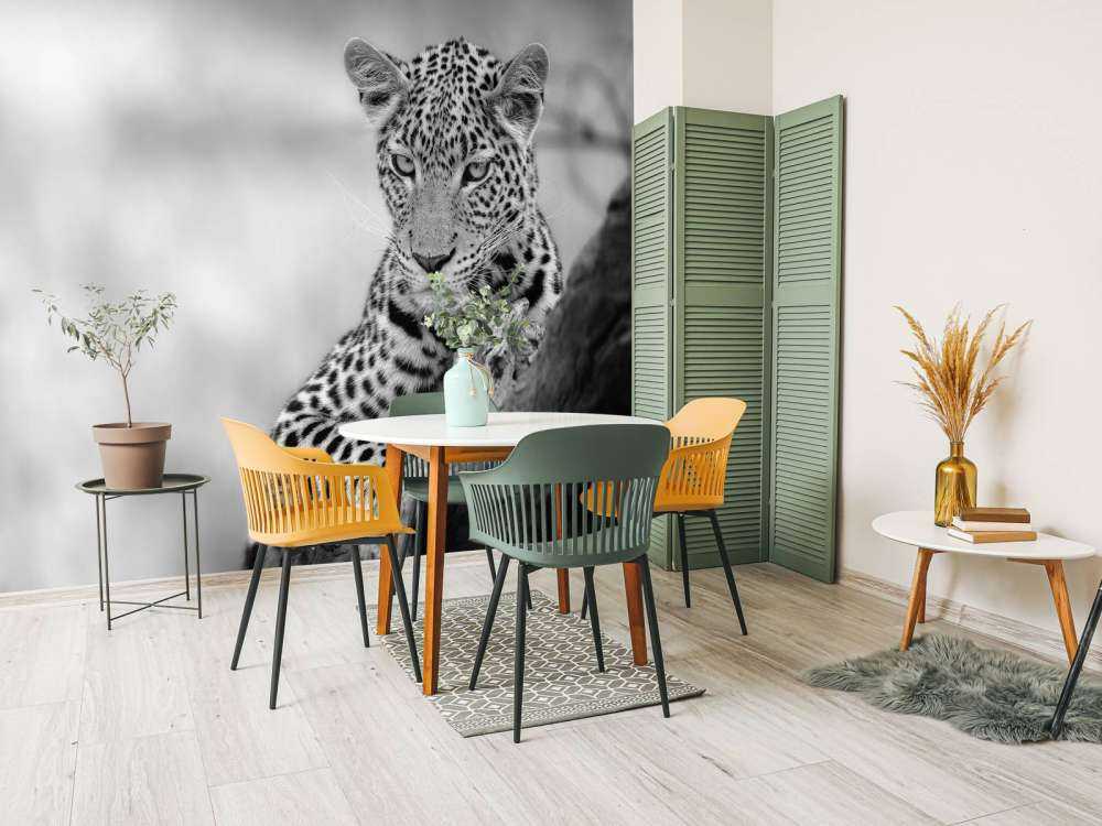 Leopard sort, hvid