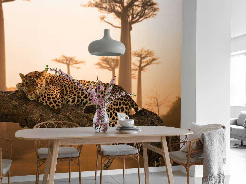 Sovende leopard