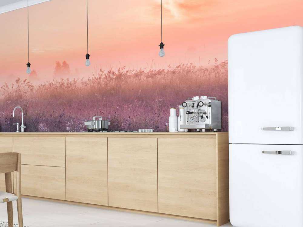 Mark med morgentåge