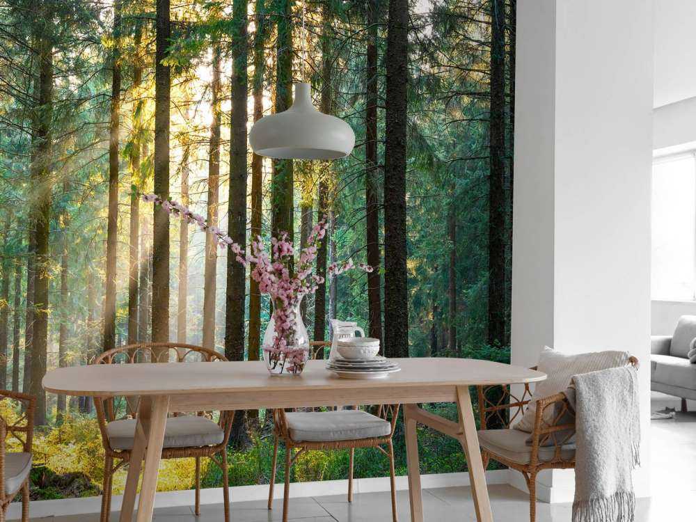 Stille skov