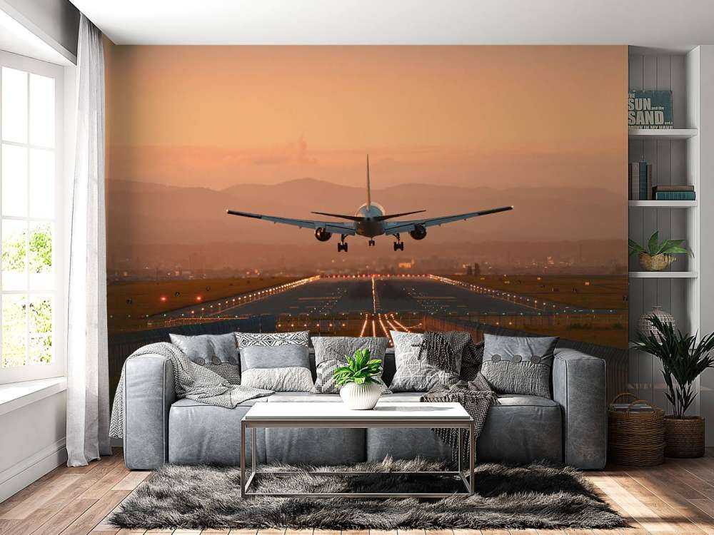 Landingsfly i aftensolen