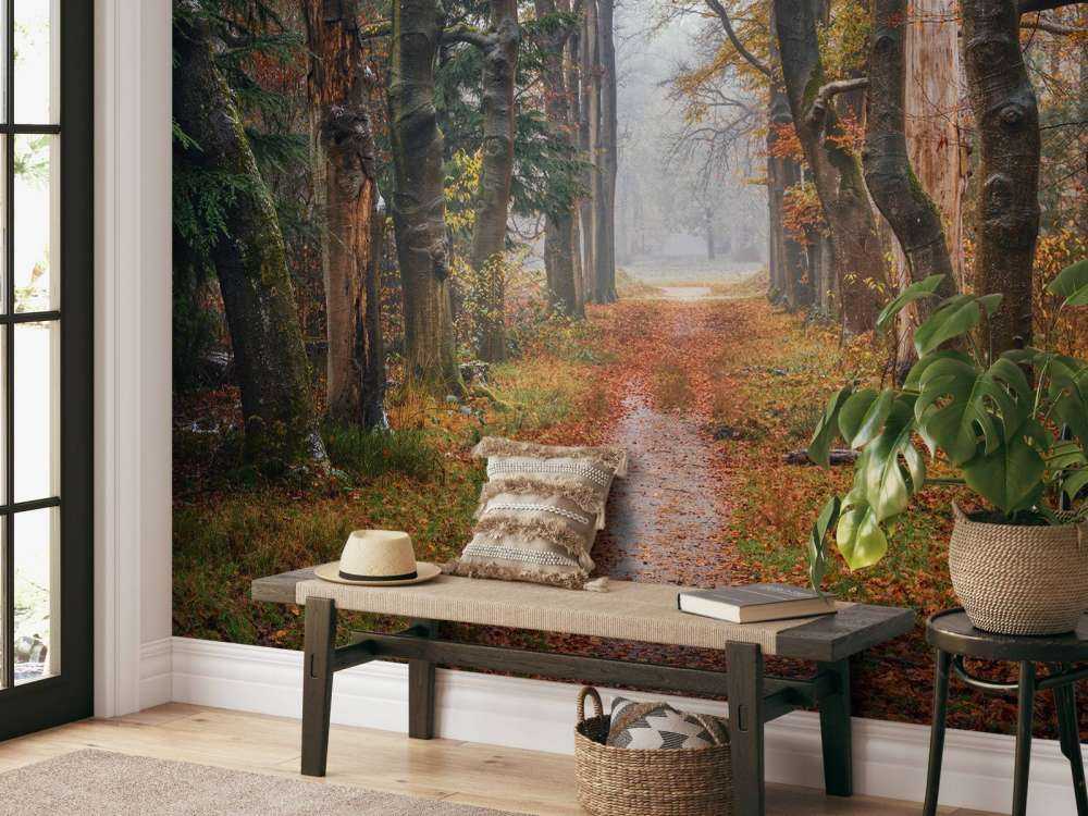 Skovsti med gamle træer