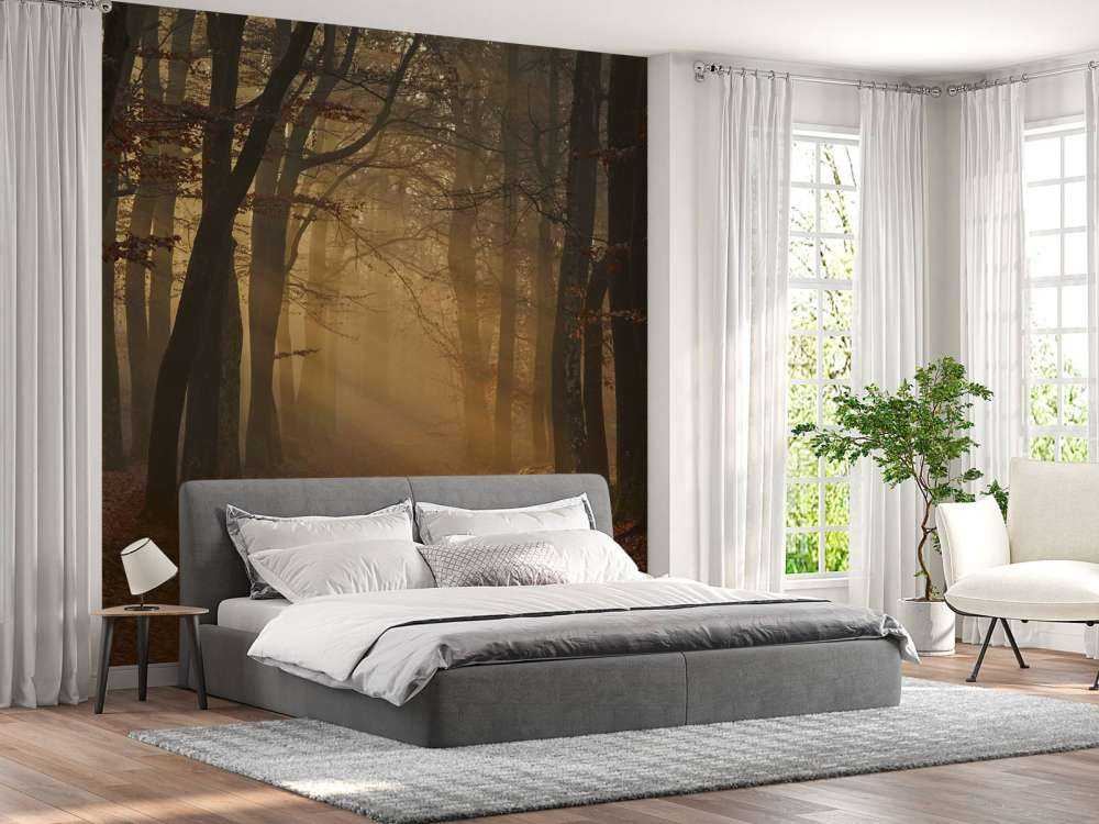 Mystisk efterårsskov