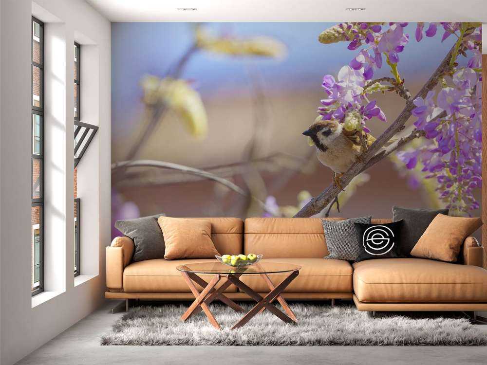 Mus og lilla blomster