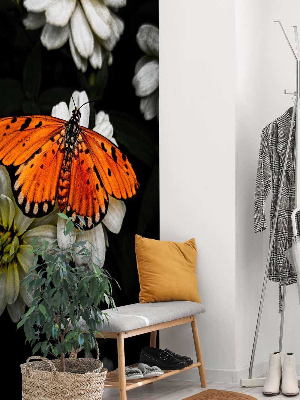 Monark-sommerfugl på en blomst