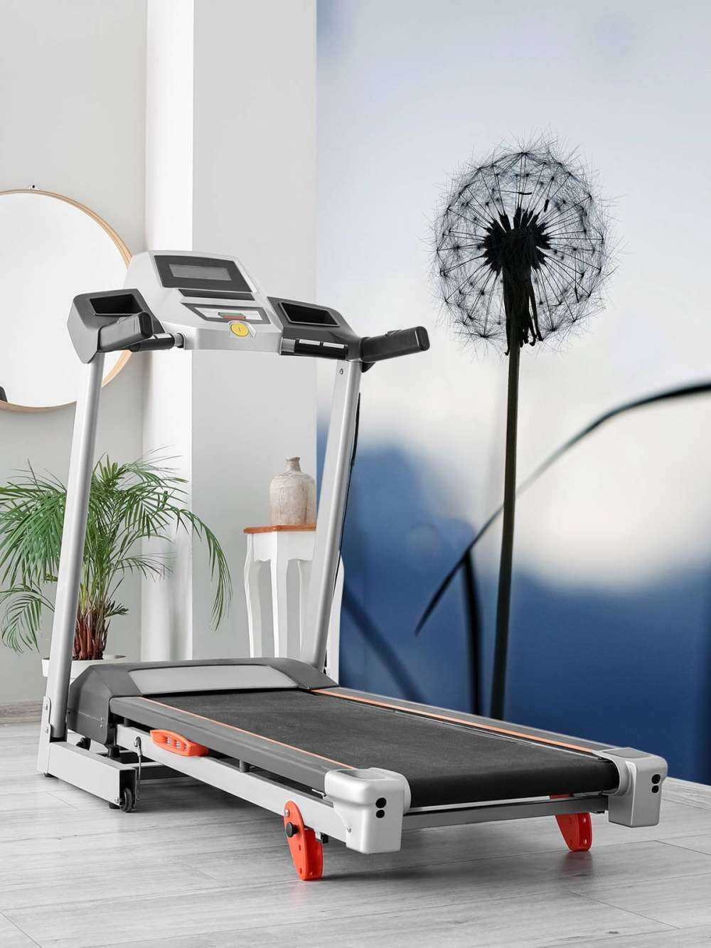 Portræt mælkebøtte